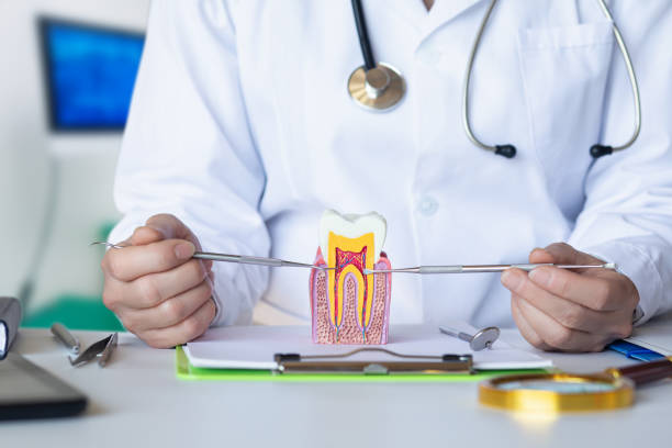 Best Emergency Root Canal Treatment in Durham, NC